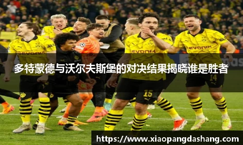 多特蒙德与沃尔夫斯堡的对决结果揭晓谁是胜者