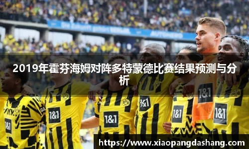 2019年霍芬海姆对阵多特蒙德比赛结果预测与分析